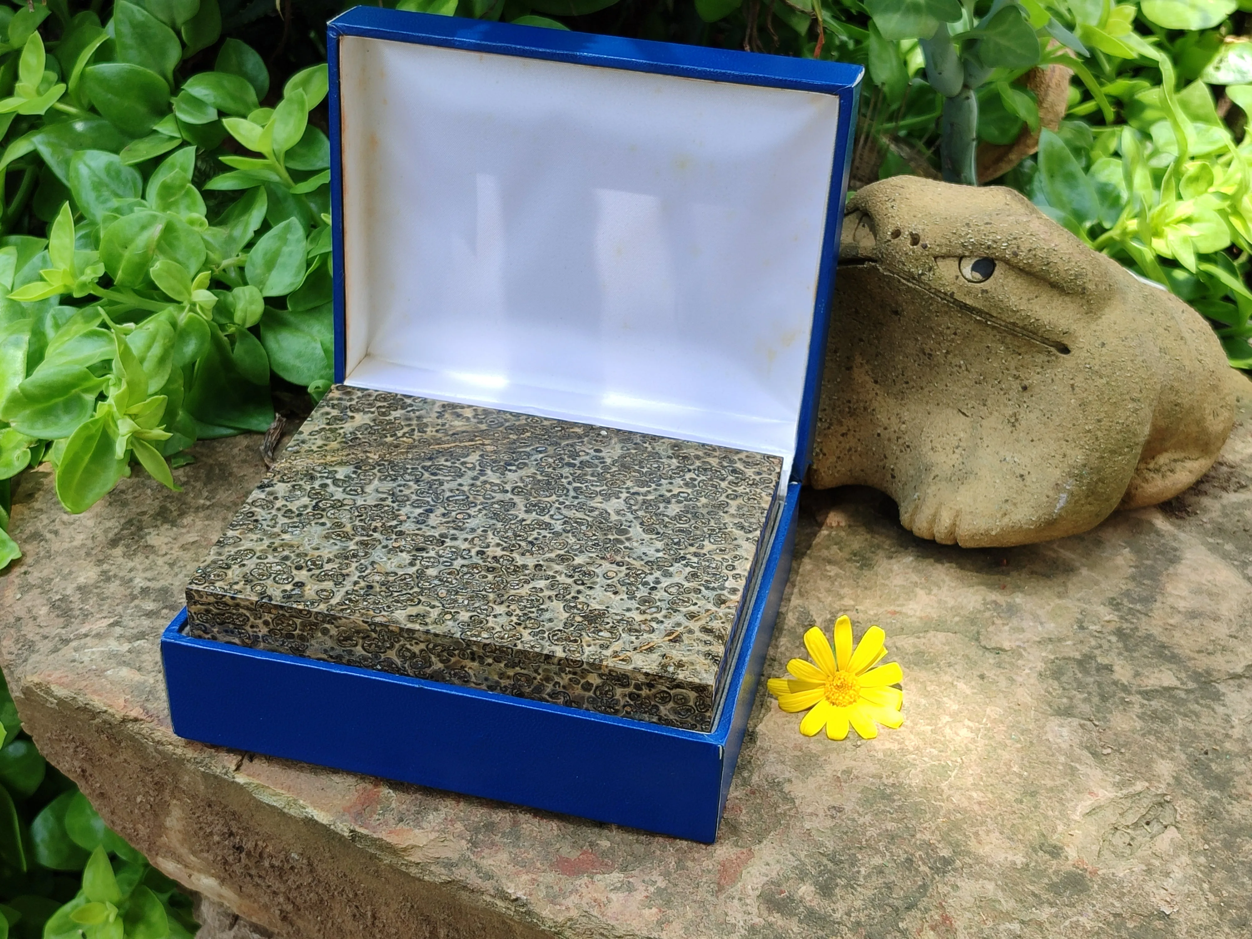 Hand Made Snakeskin Jasper Jewellery Box x 1 From Australia