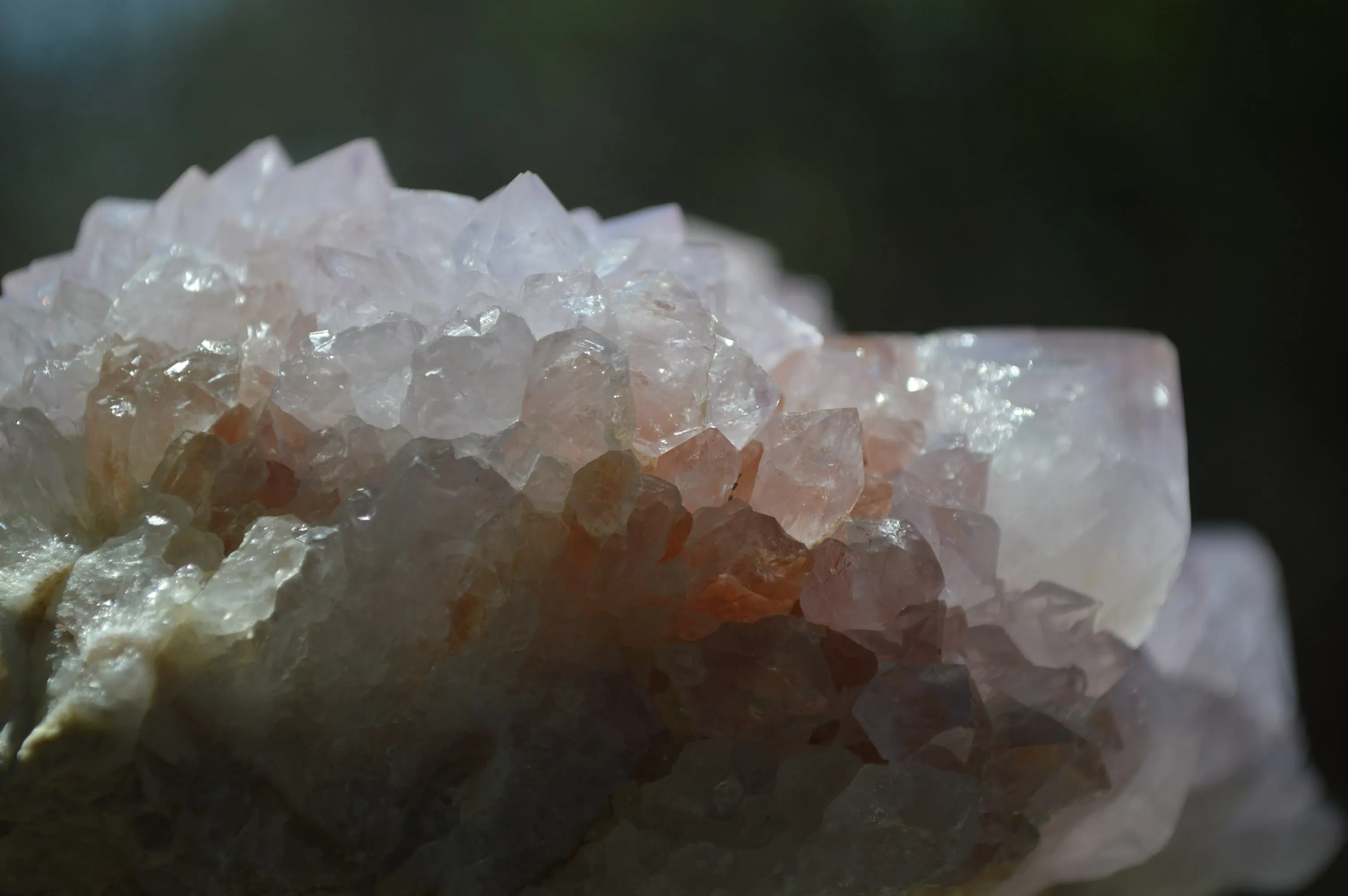 Natural Amethyst Cactus Flower Spirit Quartz Cluster x 1 From Boekenhouthoek, South Africa