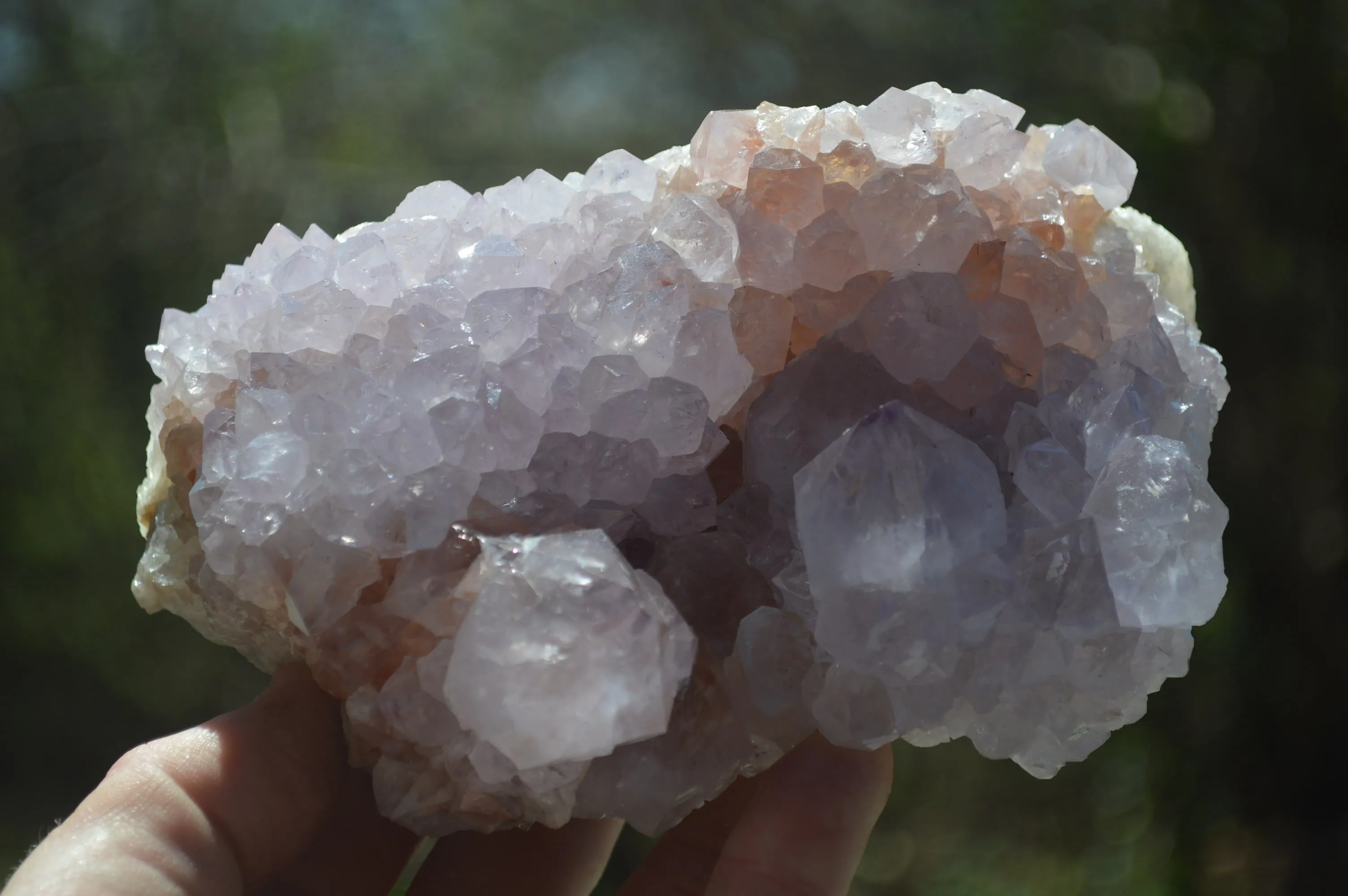 Natural Amethyst Cactus Flower Spirit Quartz Cluster x 1 From Boekenhouthoek, South Africa