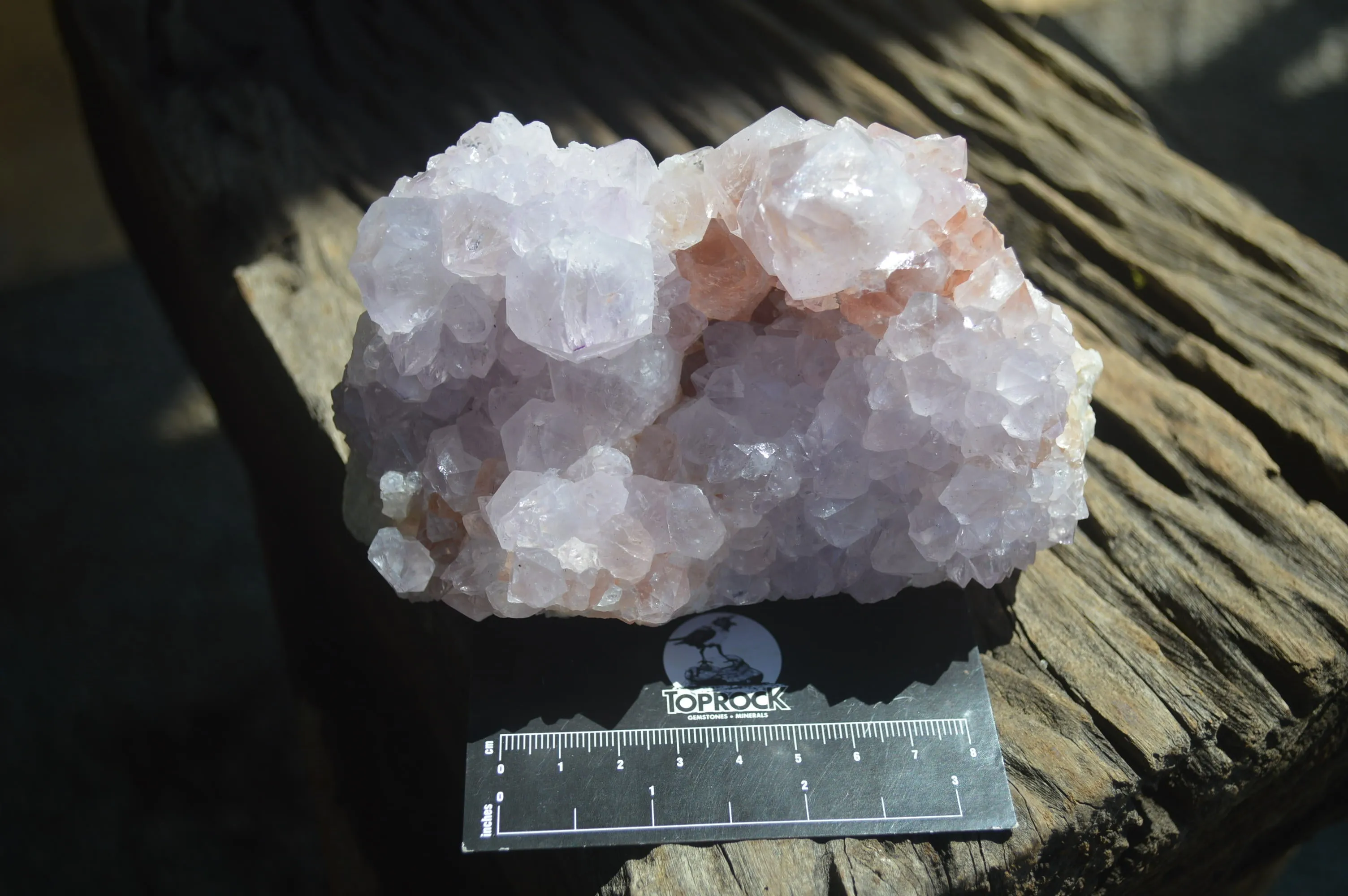 Natural Amethyst Cactus Flower Spirit Quartz Cluster x 1 From Boekenhouthoek, South Africa