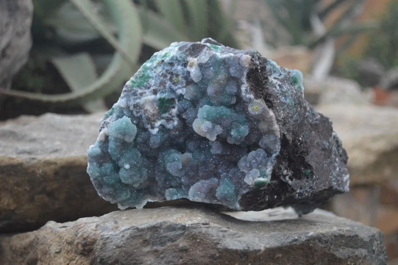 Natural Ball Malachite On Drusy Malachite  x 1 From Likasi, Congo