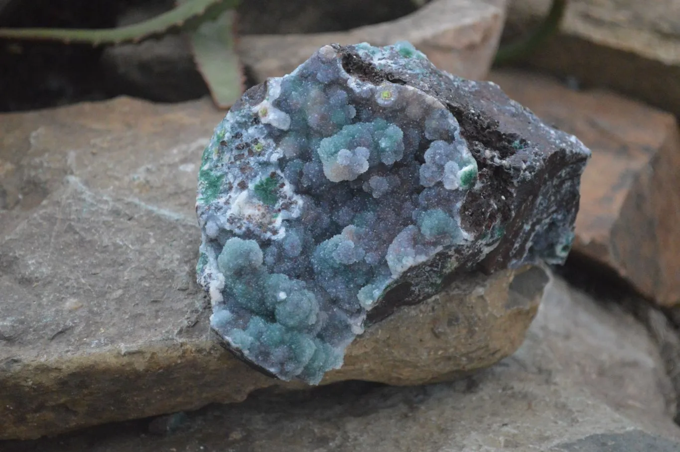 Natural Ball Malachite On Drusy Malachite  x 1 From Likasi, Congo