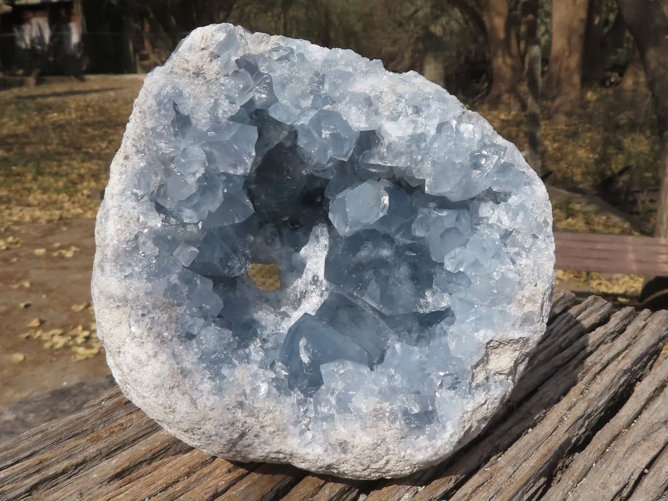 Natural Blue Celestite Geode Specimen With Cubic Crystals (Hole Drilled In Back For Light) x 1 From Sakoany, Madagascar