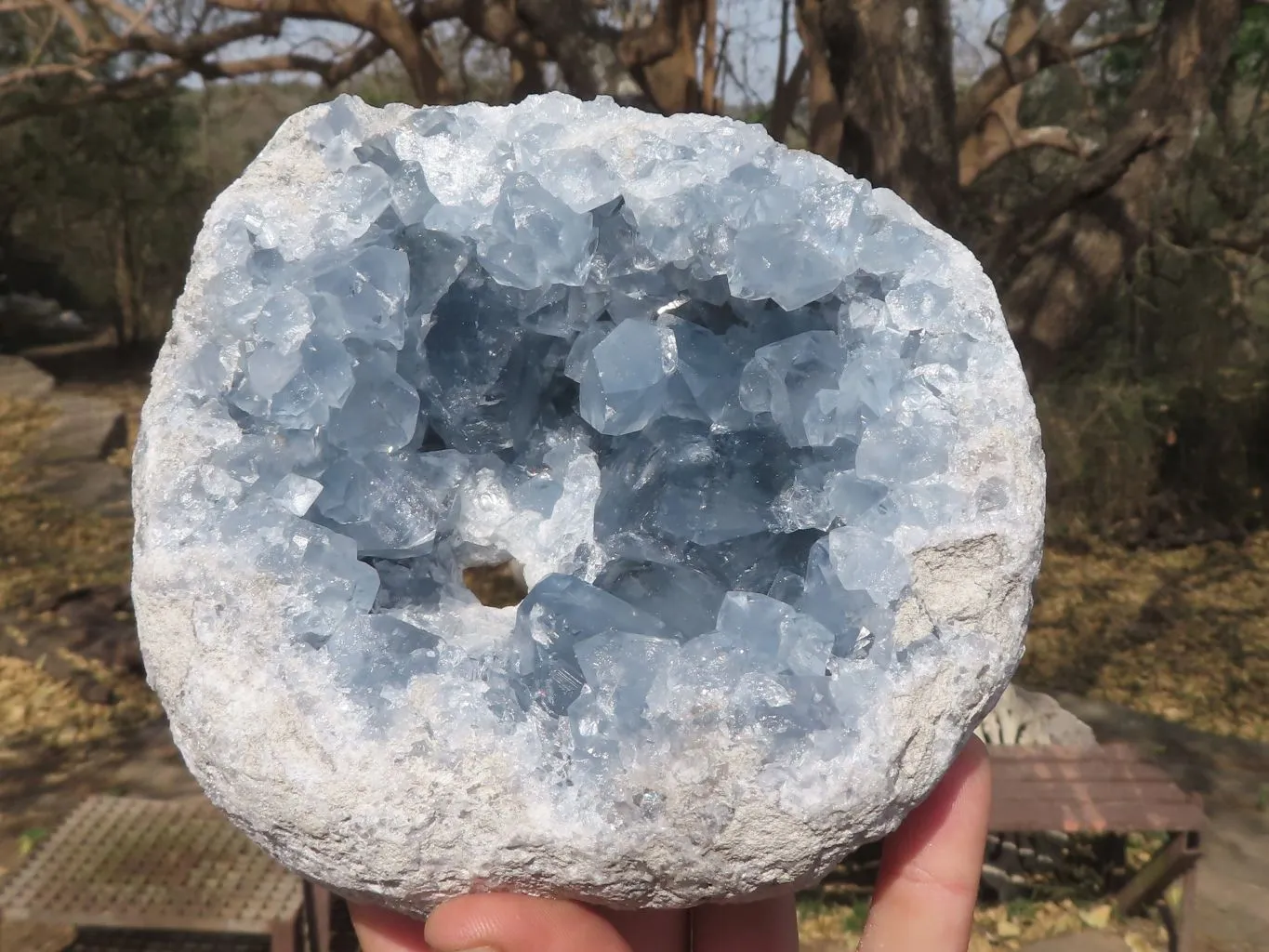 Natural Blue Celestite Geode Specimen With Cubic Crystals (Hole Drilled In Back For Light) x 1 From Sakoany, Madagascar