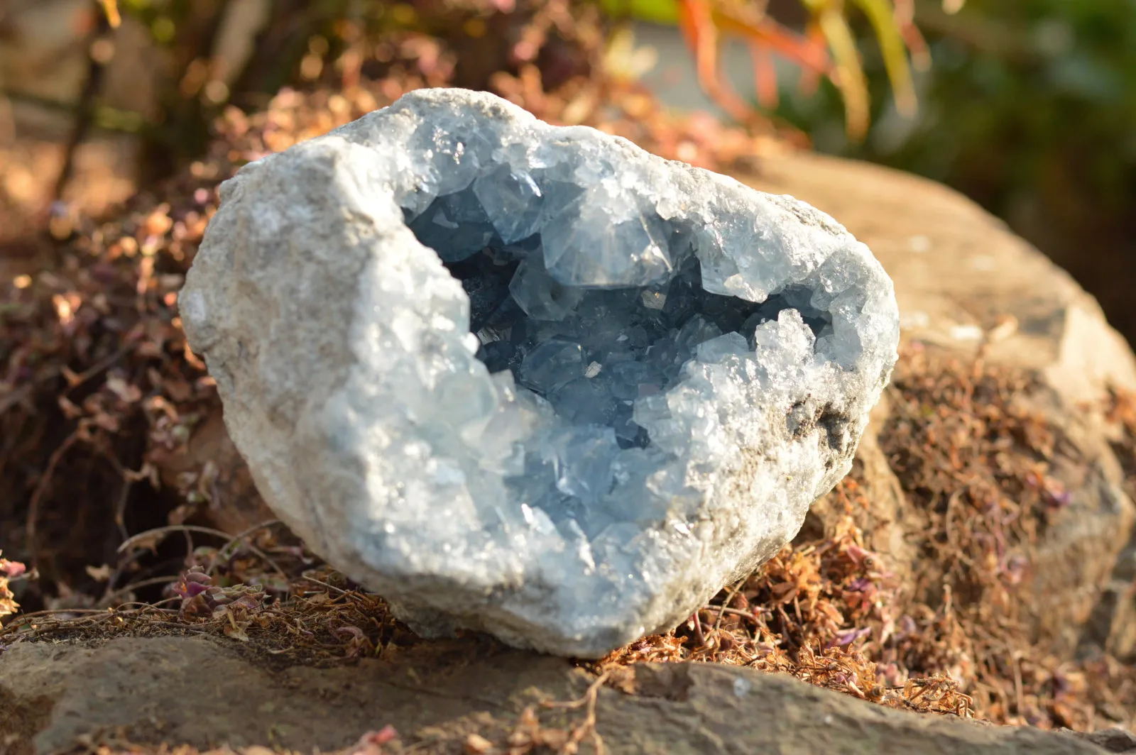 Natural Blue Celestite Geode Specimen With Gemmy Cubic Crystals  x 1 From Sakoany, Madagascar