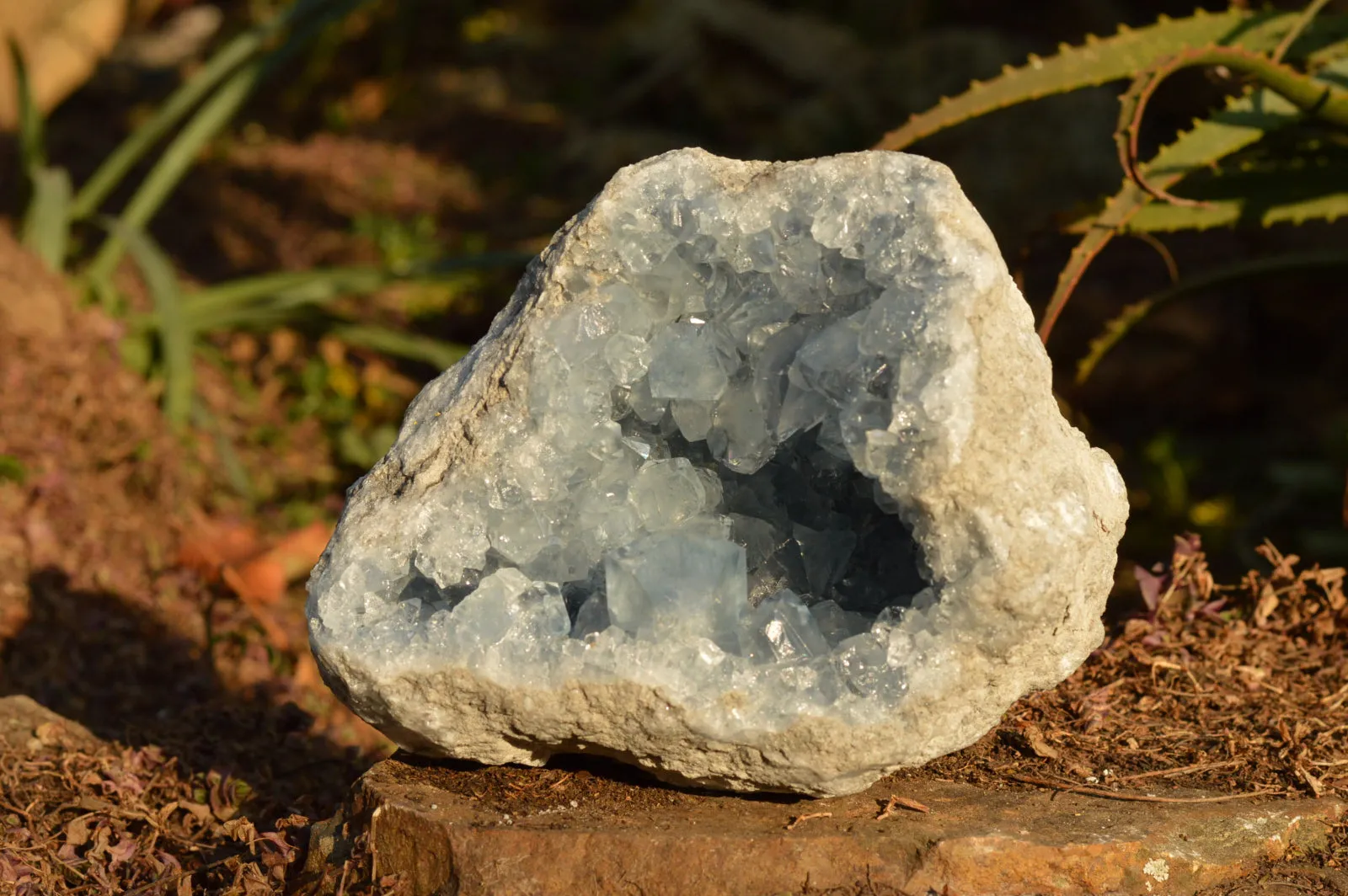 Natural Blue Celestite Geode Specimen With Gemmy Cubic Crystals  x 1 From Sakoany, Madagascar