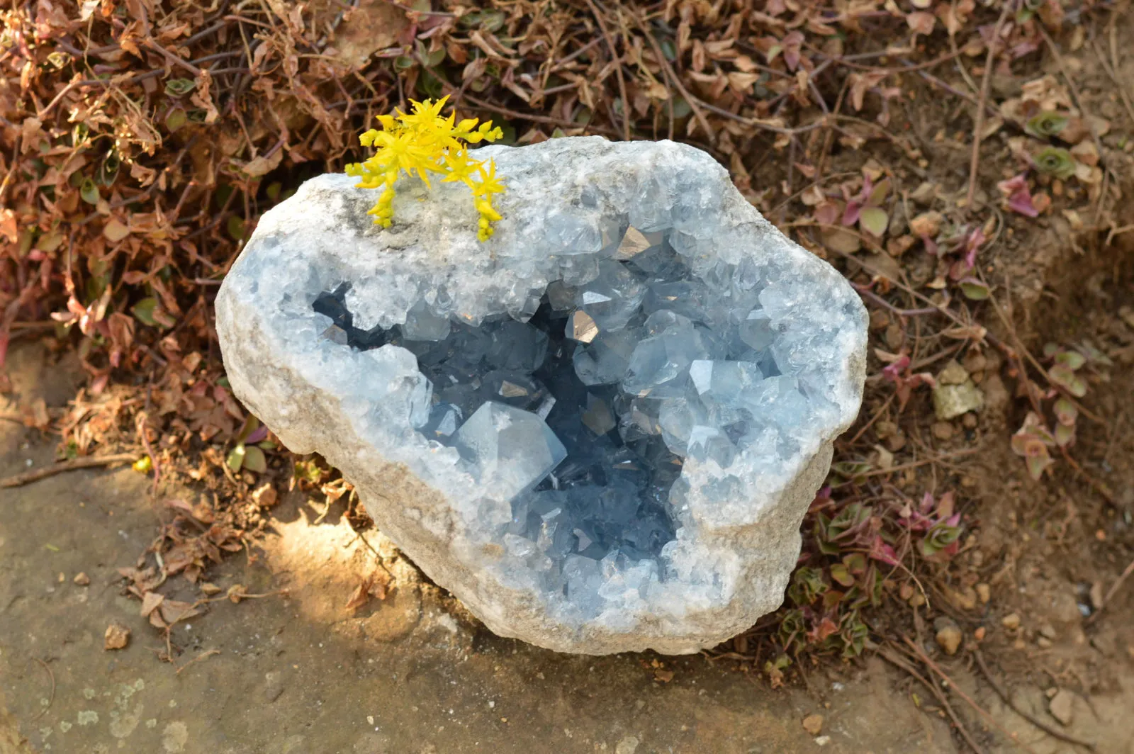 Natural Blue Celestite Geode Specimen With Gemmy Cubic Crystals  x 1 From Sakoany, Madagascar