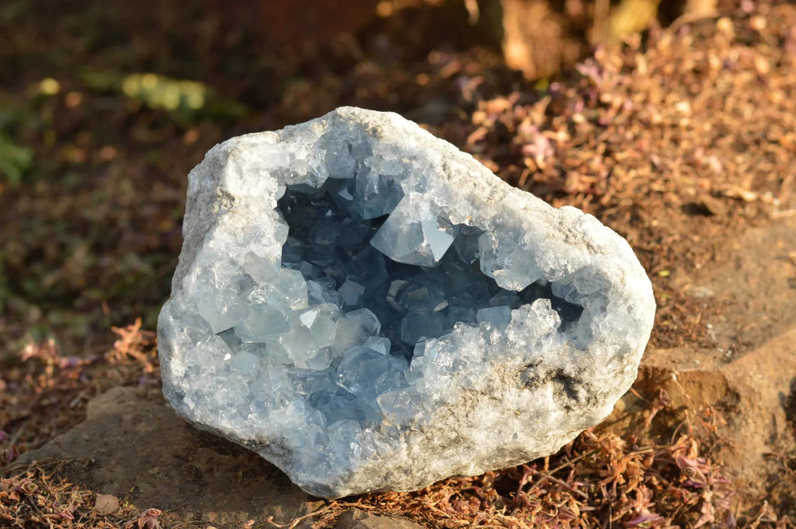 Natural Blue Celestite Geode Specimen With Gemmy Cubic Crystals  x 1 From Sakoany, Madagascar