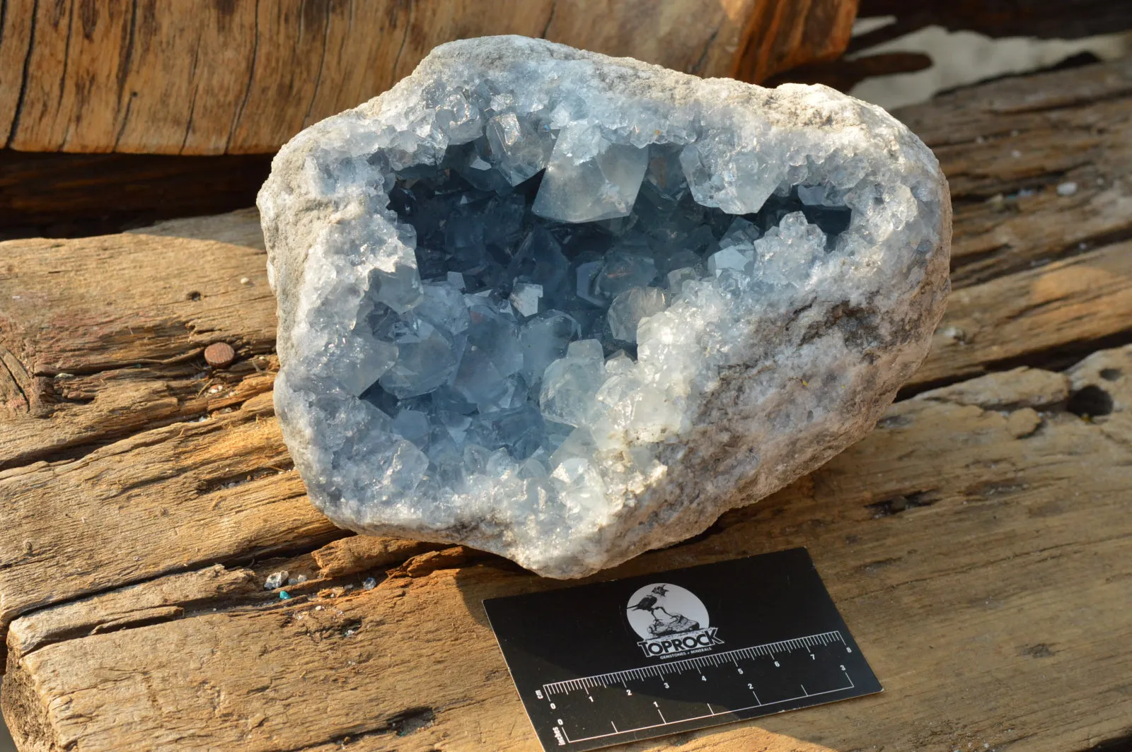 Natural Blue Celestite Geode Specimen With Gemmy Cubic Crystals  x 1 From Sakoany, Madagascar