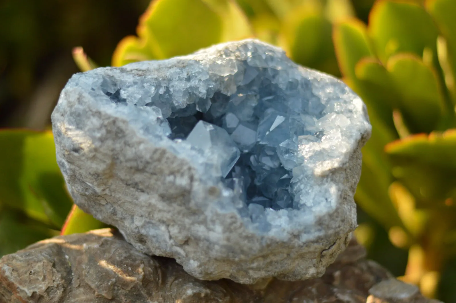 Natural Blue Celestite Geode Specimen With Gemmy Cubic Crystals  x 1 From Sakoany, Madagascar