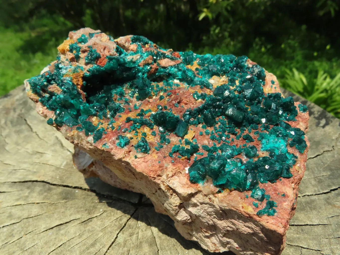 Natural Cabinet Dioptase Specimen, Emerald Green Crystals x 1 From Renneville Brazzaville, Congo