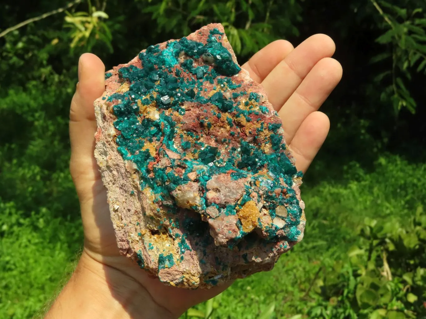 Natural Cabinet Dioptase Specimen, Emerald Green Crystals x 1 From Renneville Brazzaville, Congo