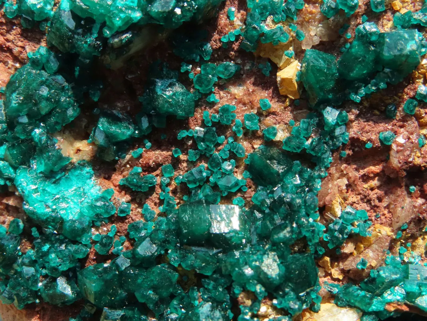 Natural Cabinet Dioptase Specimen, Emerald Green Crystals x 1 From Renneville Brazzaville, Congo