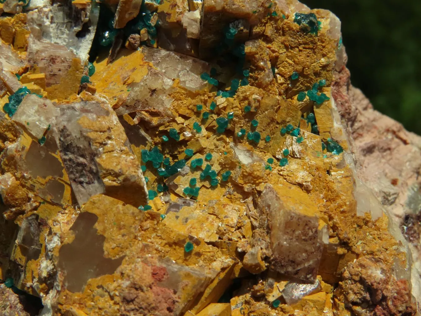 Natural Cabinet Dioptase Specimen, Emerald Green Crystals x 1 From Renneville Brazzaville, Congo