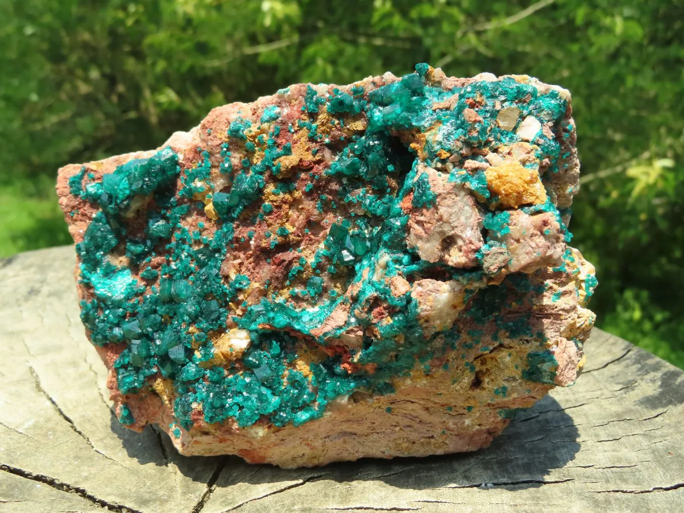 Natural Cabinet Dioptase Specimen, Emerald Green Crystals x 1 From Renneville Brazzaville, Congo