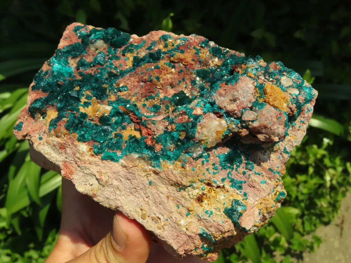 Natural Cabinet Dioptase Specimen, Emerald Green Crystals x 1 From Renneville Brazzaville, Congo