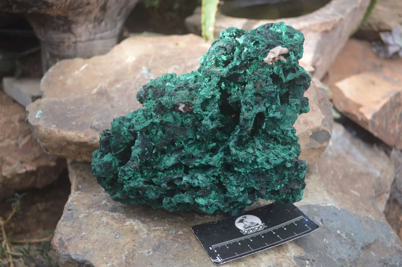 Natural Chatoyant Silky Malachite Specimen x 1 From Congo