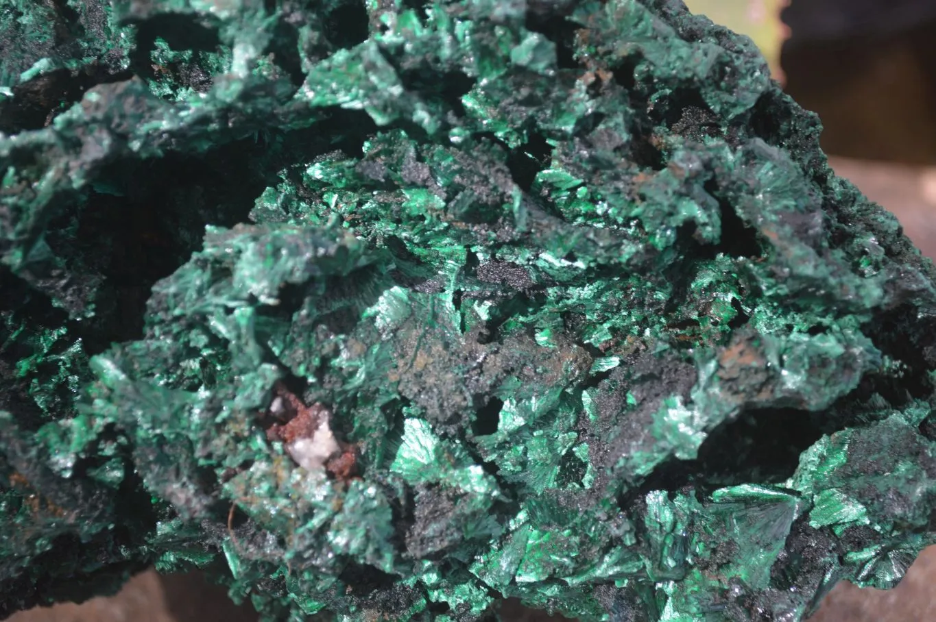 Natural Chatoyant Silky Malachite Specimen x 1 From Congo