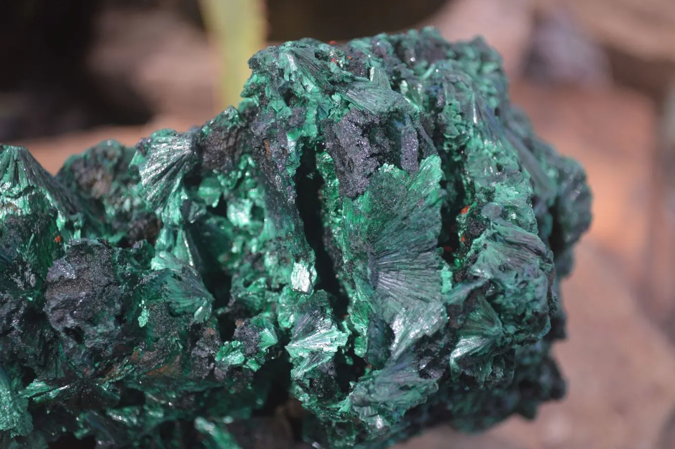 Natural Chatoyant Silky Malachite Specimen x 1 From Congo