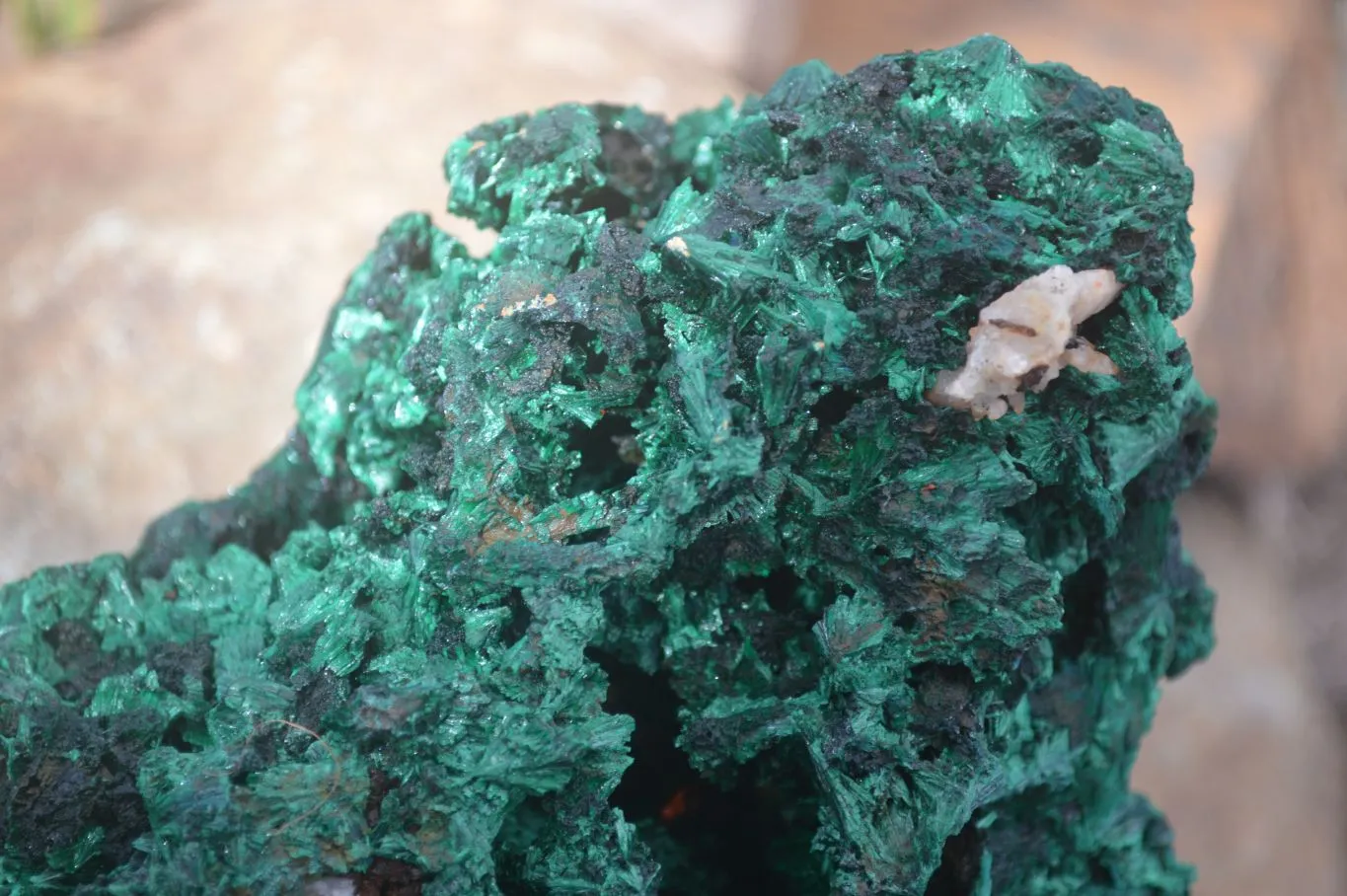 Natural Chatoyant Silky Malachite Specimen x 1 From Congo