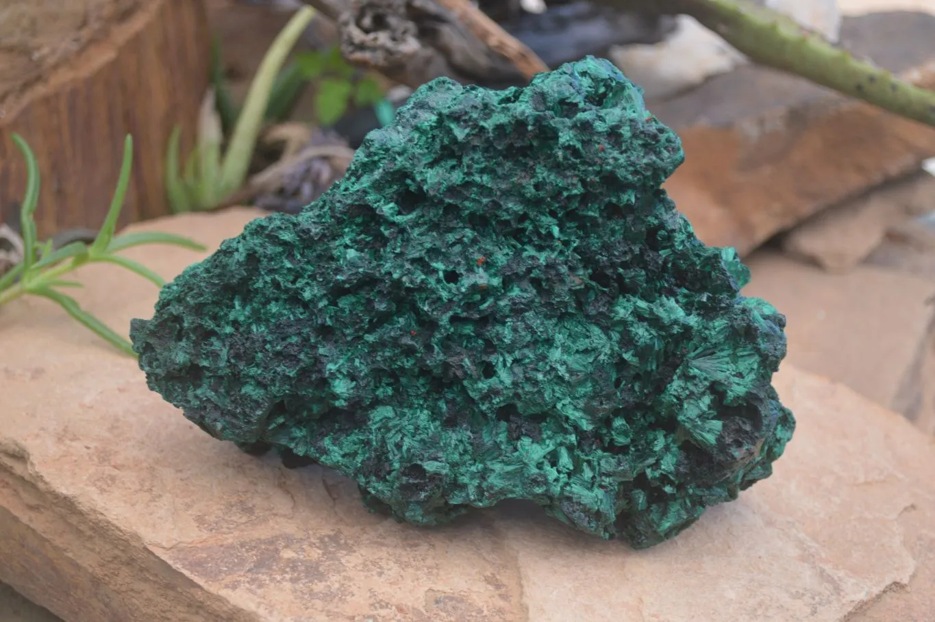 Natural Chatoyant Silky Malachite Specimen x 1 From Congo