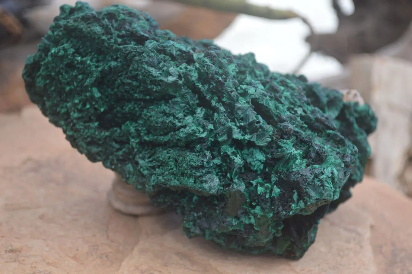 Natural Chatoyant Silky Malachite Specimen x 1 From Congo