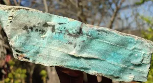 Natural Drusy Coated Chrysocolla Dolomite Specimen x 1 From Likasi, Congo