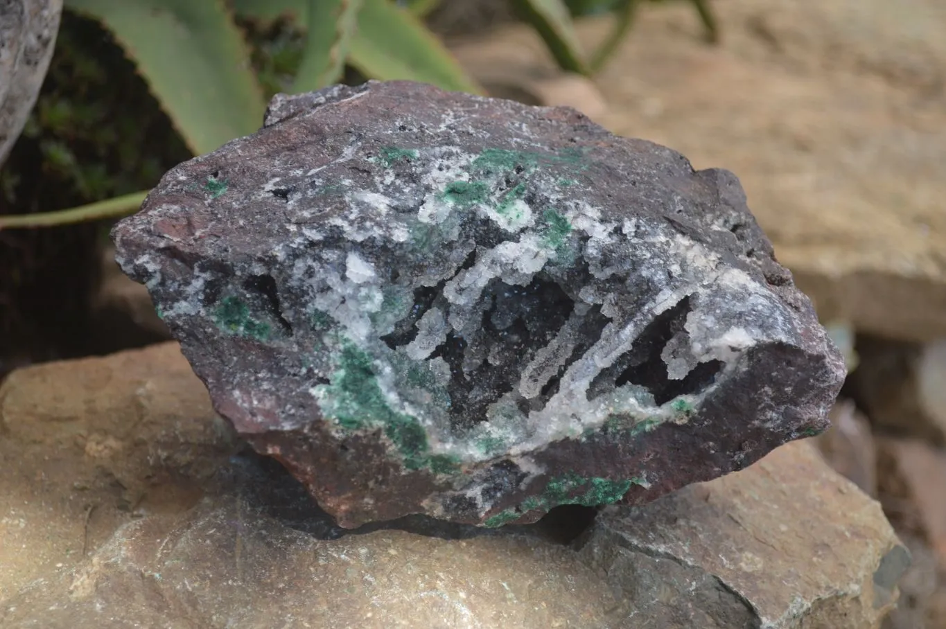 Natural Drusy Quartz Coated Ball Malachite In Red Dolomite Specimen x 1 From Likasi, Congo