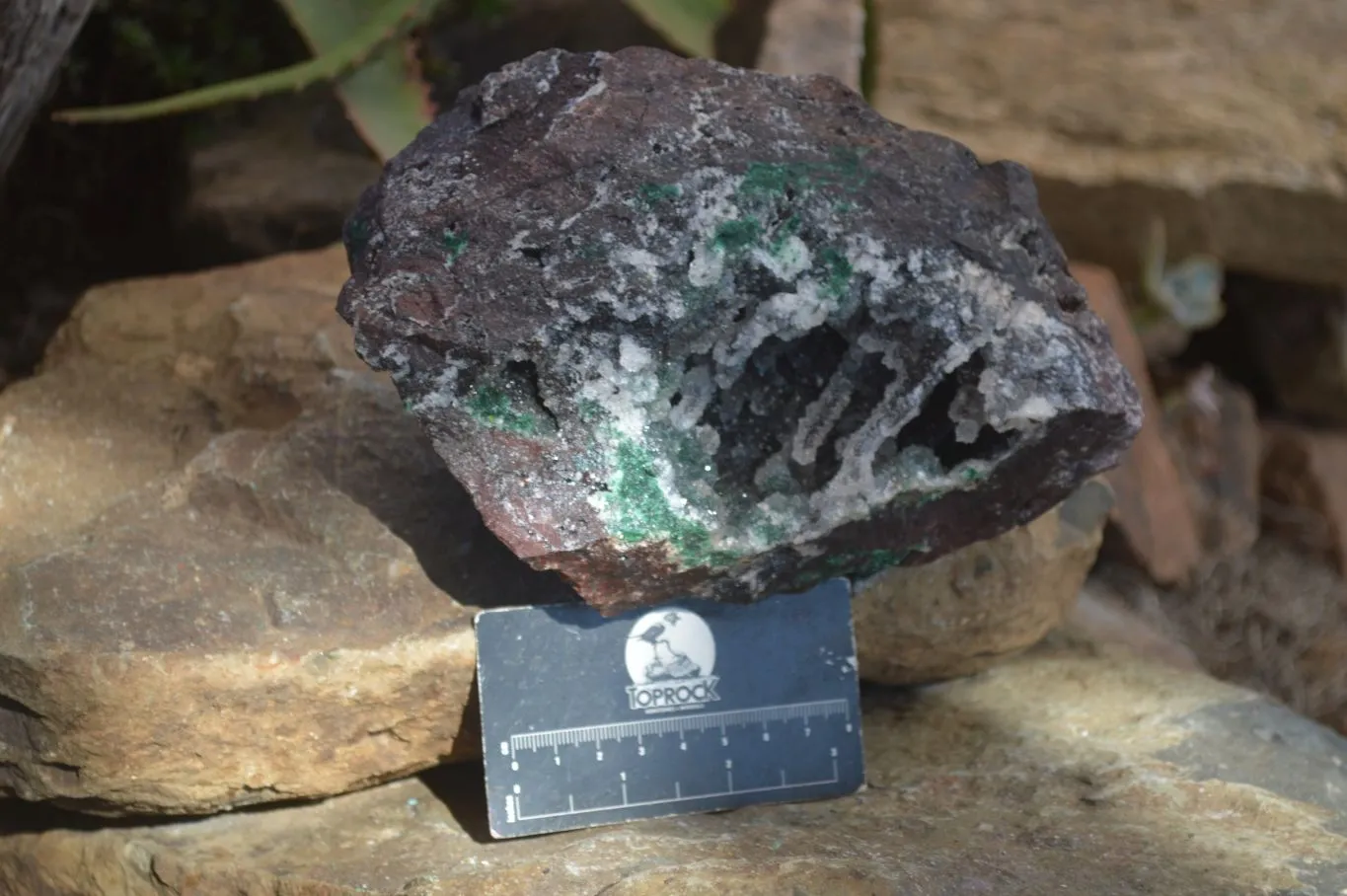 Natural Drusy Quartz Coated Ball Malachite In Red Dolomite Specimen x 1 From Likasi, Congo