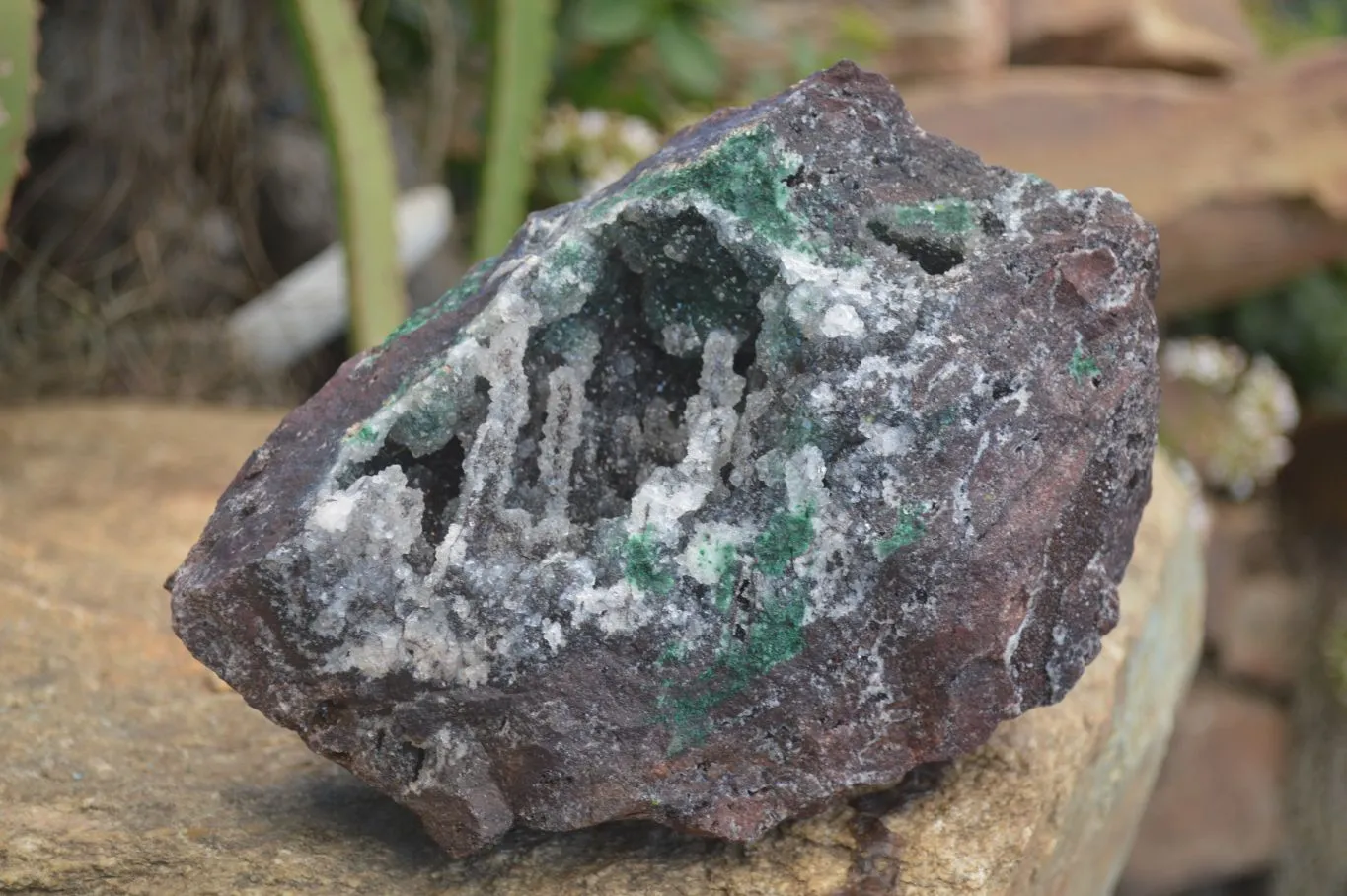 Natural Drusy Quartz Coated Ball Malachite In Red Dolomite Specimen x 1 From Likasi, Congo