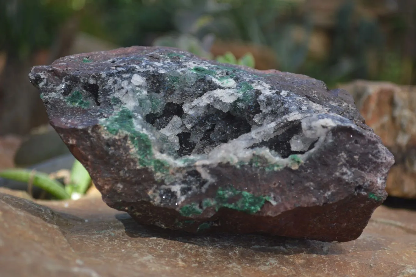 Natural Drusy Quartz Coated Ball Malachite In Red Dolomite Specimen x 1 From Likasi, Congo