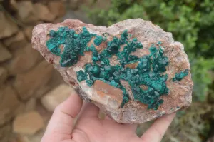 Natural Emerald Dioptase Matrix Specimen x 1 From Namibia