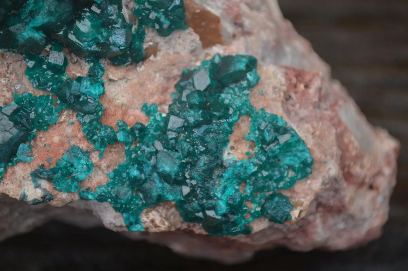 Natural Emerald Dioptase Matrix Specimen x 1 From Namibia