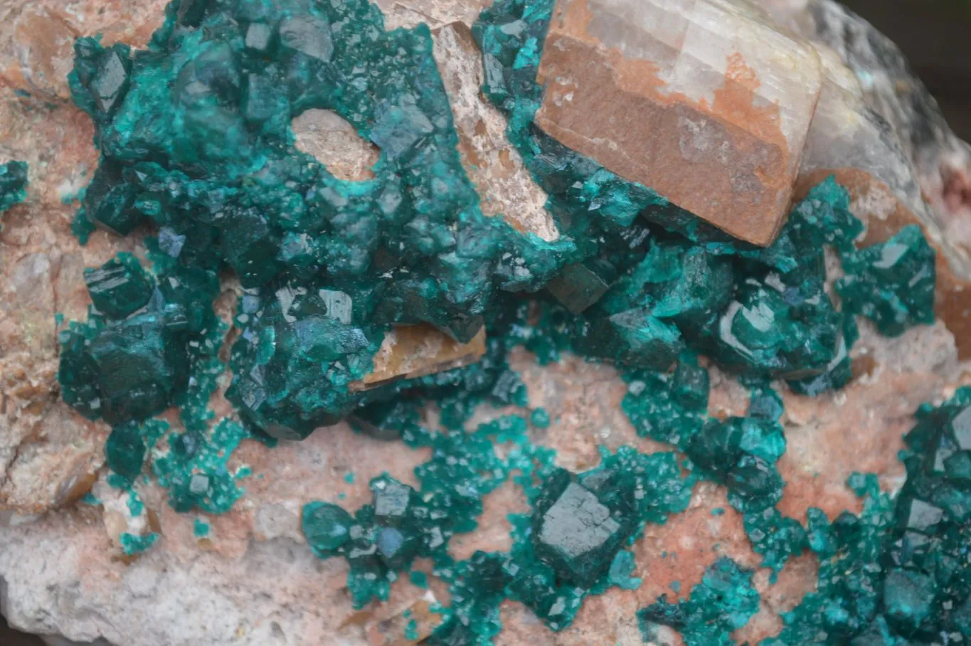 Natural Emerald Dioptase Matrix Specimen x 1 From Namibia