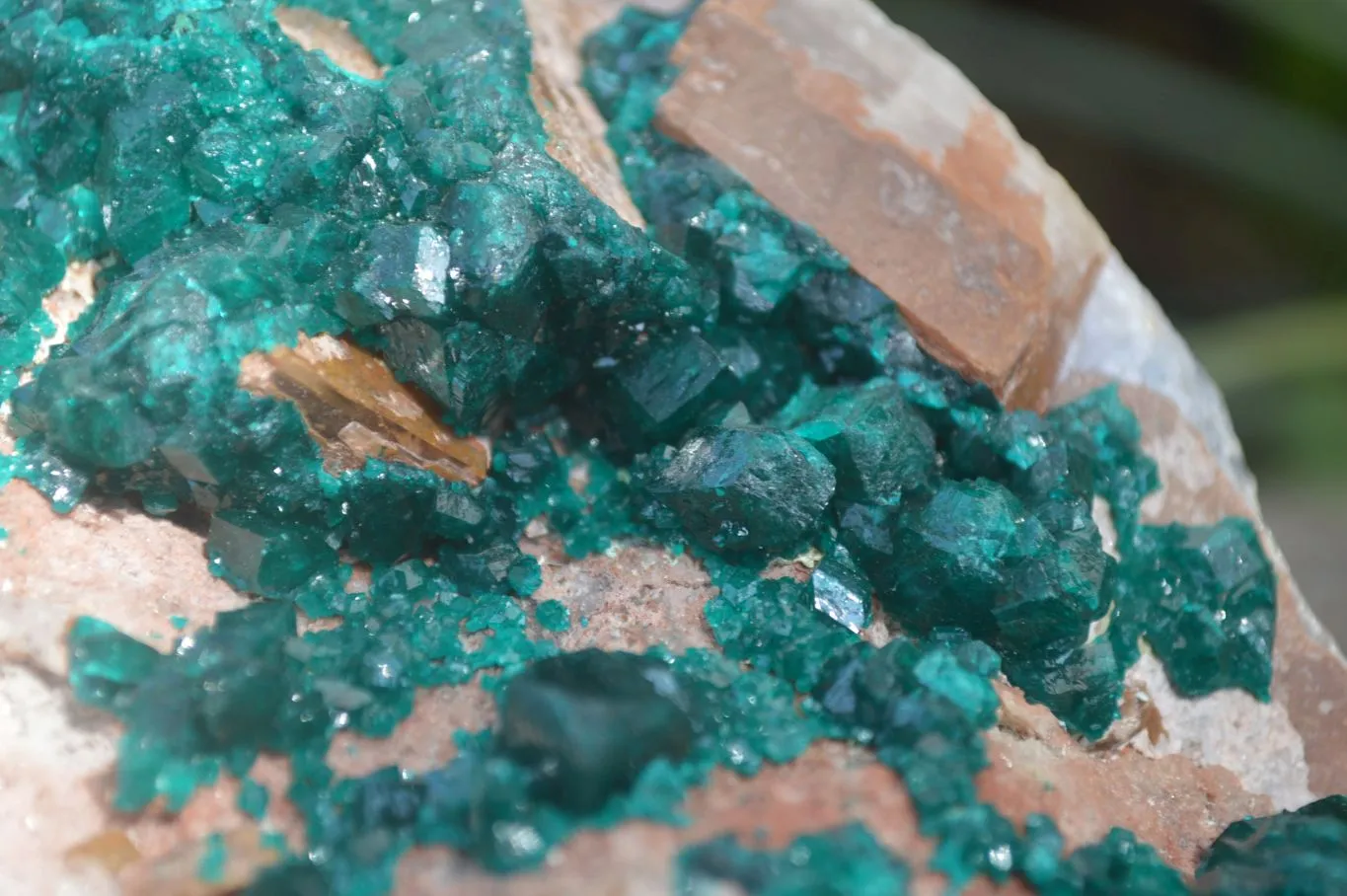 Natural Emerald Dioptase Matrix Specimen x 1 From Namibia