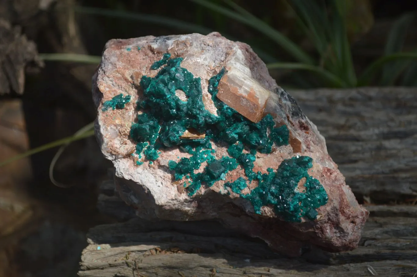 Natural Emerald Dioptase Matrix Specimen x 1 From Namibia