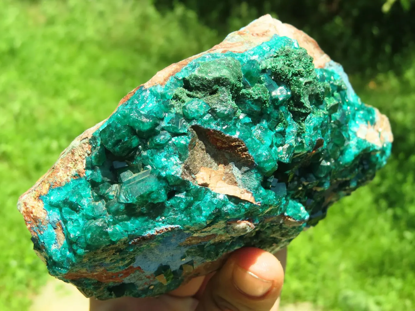 Natural Emerald Green Dioptase With Blue Shattuckite x 1 From Tantara, Congo