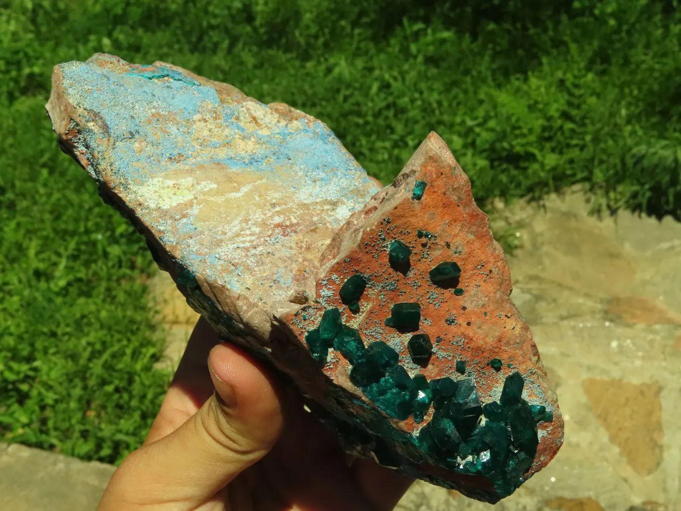 Natural Emerald Green Dioptase With Blue Shattuckite x 1 From Tantara, Congo