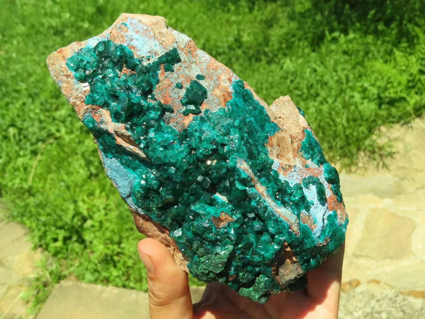 Natural Emerald Green Dioptase With Blue Shattuckite x 1 From Tantara, Congo