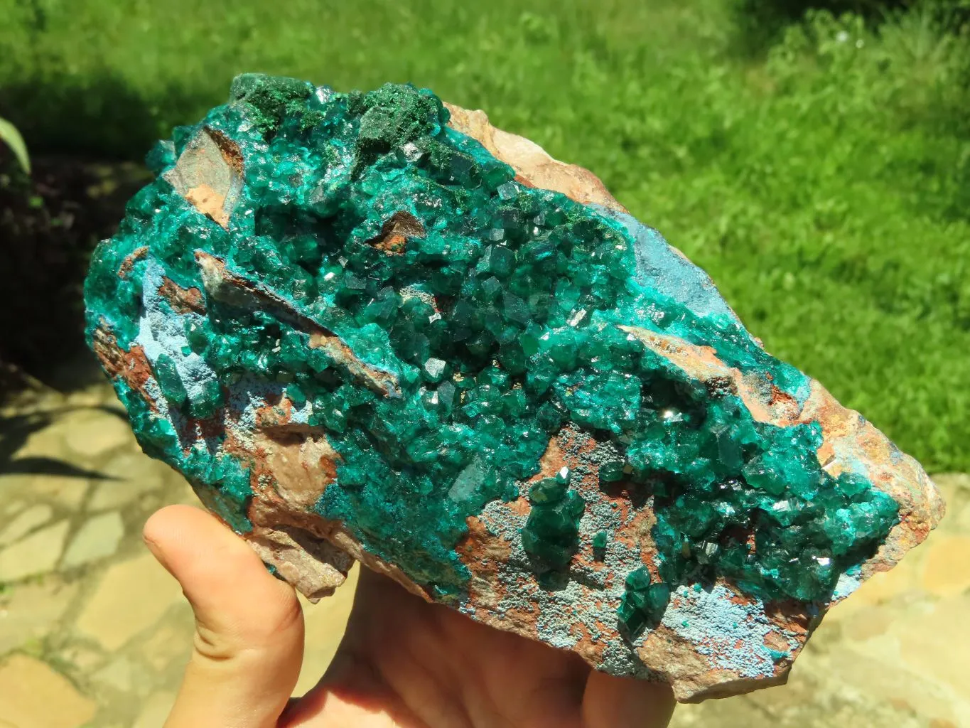 Natural Emerald Green Dioptase With Blue Shattuckite x 1 From Tantara, Congo