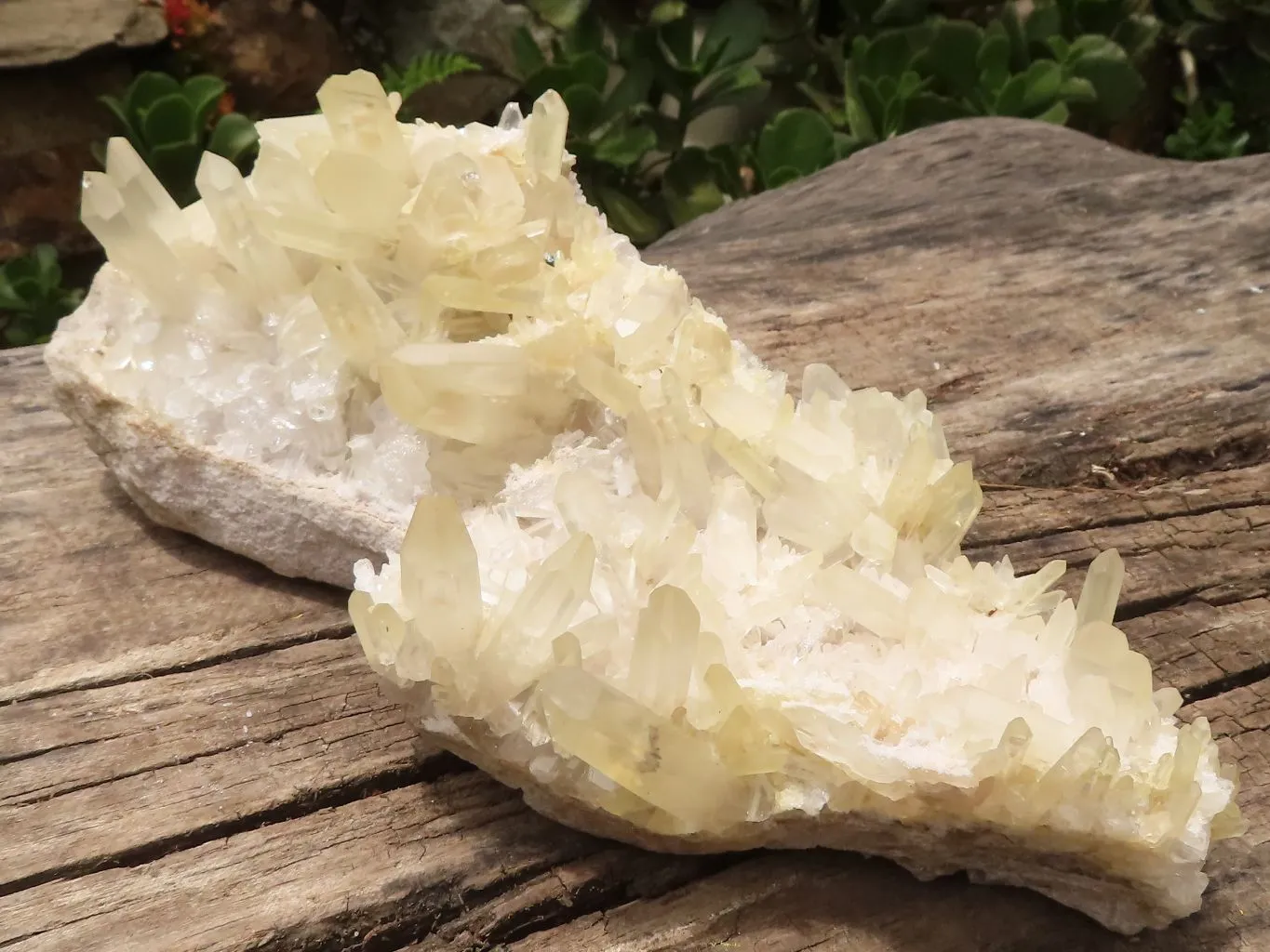 Natural Extra Large Clear Quartz Cluster With Golden Limonite Tint x 1 From Madagascar