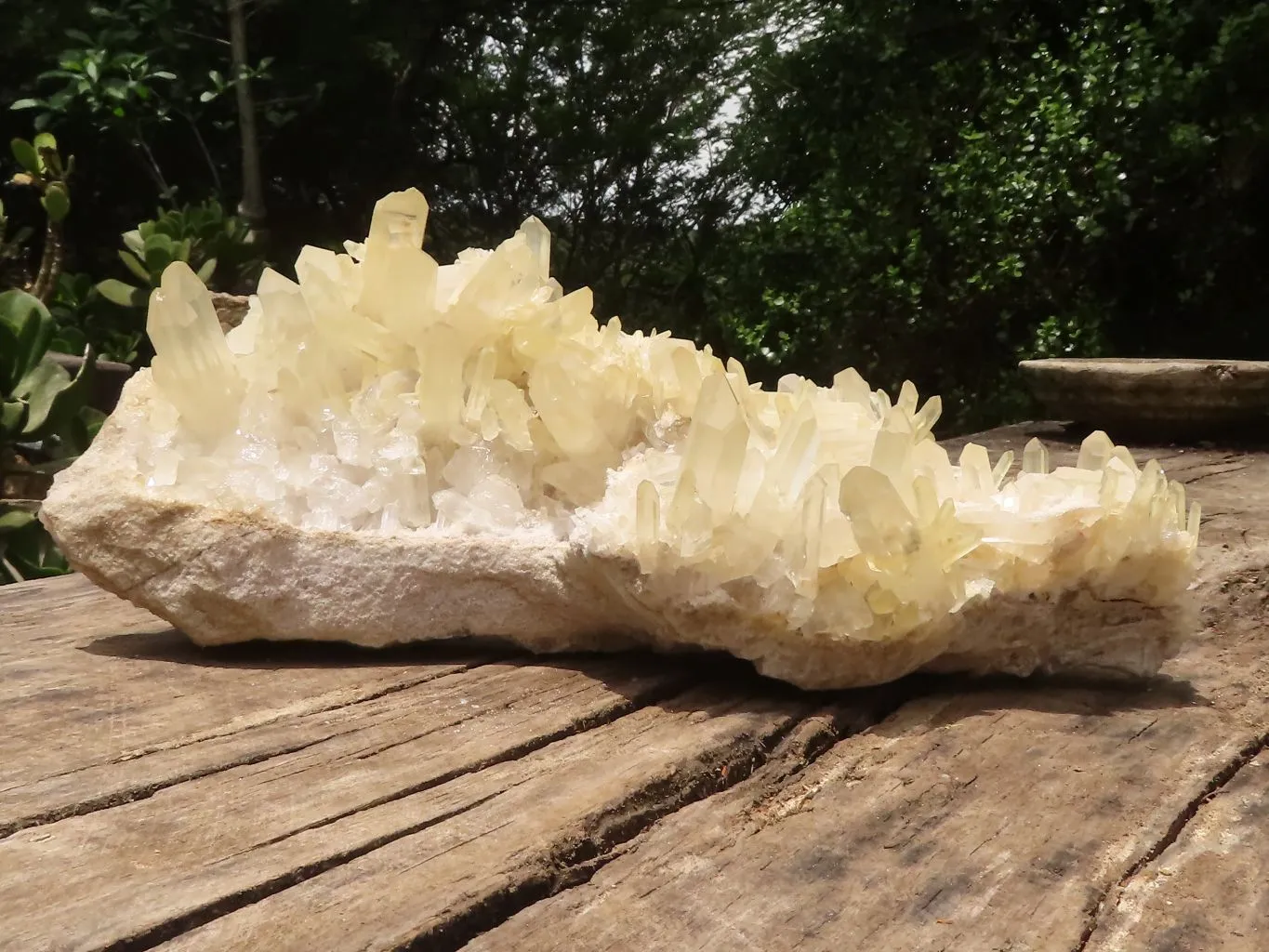 Natural Extra Large Clear Quartz Cluster With Golden Limonite Tint x 1 From Madagascar