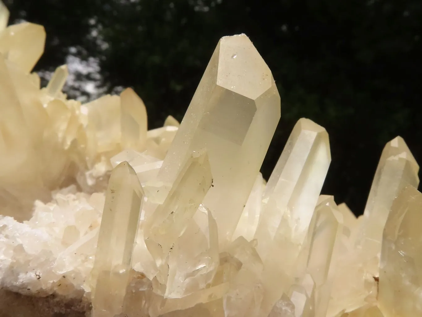 Natural Extra Large Clear Quartz Cluster With Golden Limonite Tint x 1 From Madagascar