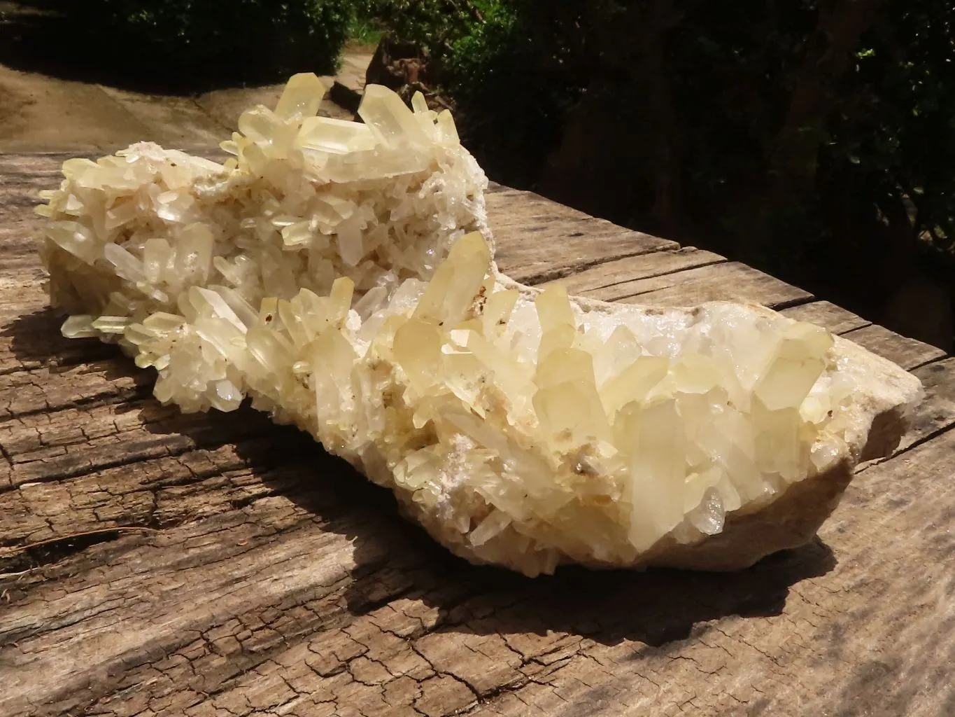 Natural Extra Large Clear Quartz Cluster With Golden Limonite Tint x 1 From Madagascar