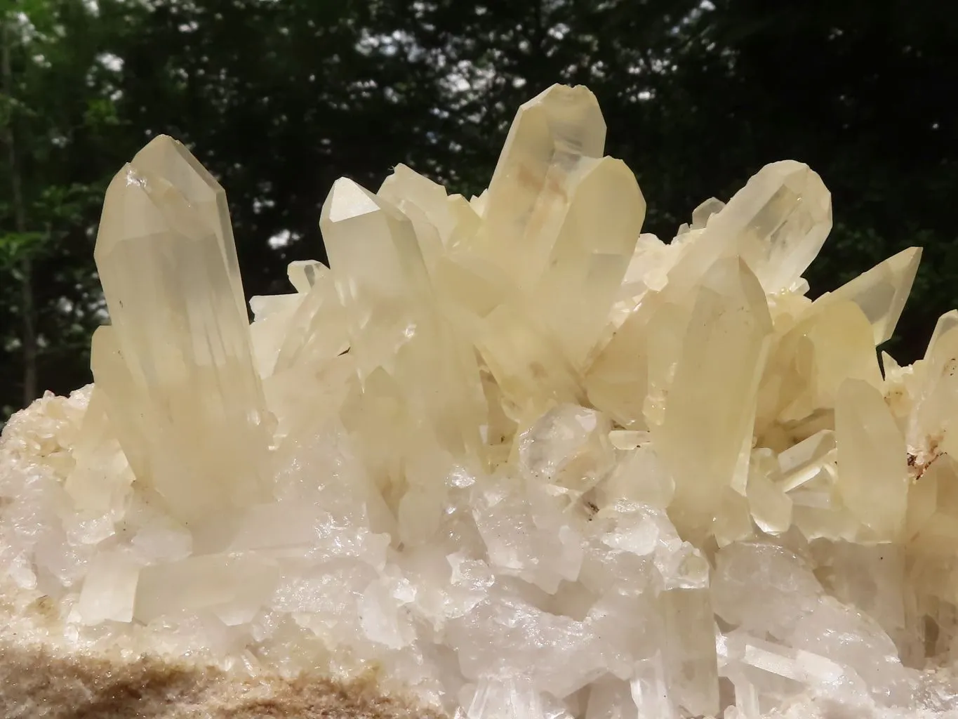 Natural Extra Large Clear Quartz Cluster With Golden Limonite Tint x 1 From Madagascar