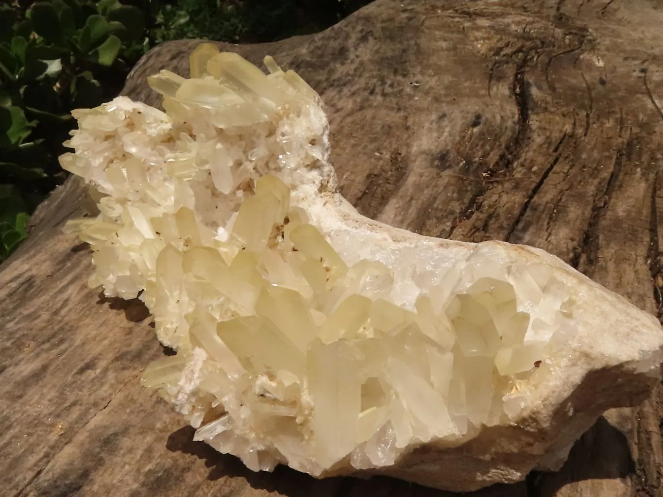 Natural Extra Large Clear Quartz Cluster With Golden Limonite Tint x 1 From Madagascar