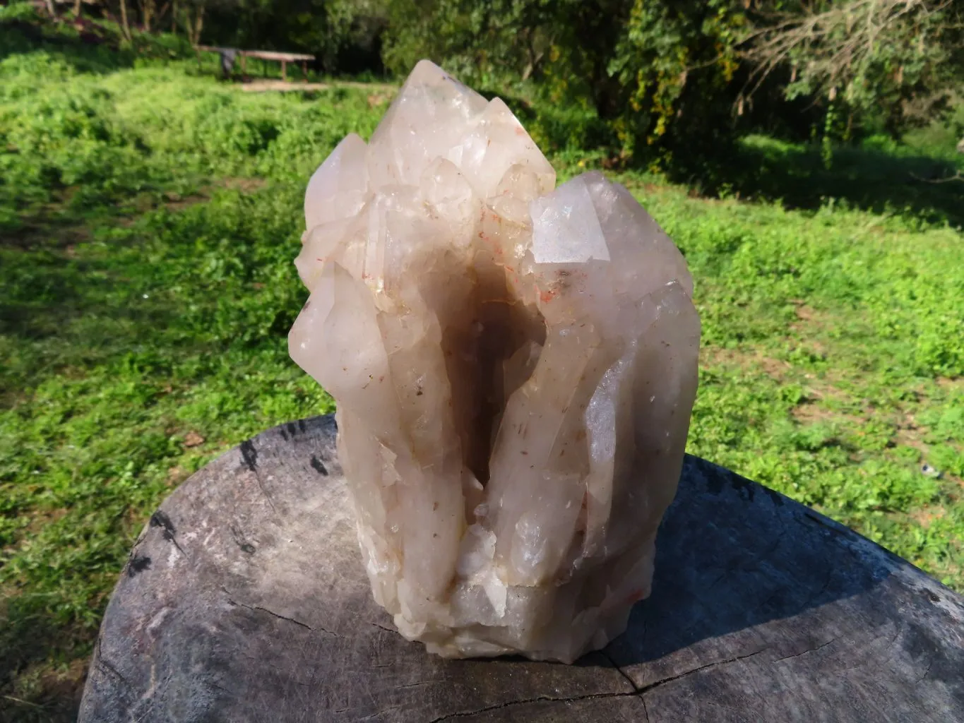 Natural Extra Large Half Polished Multi Terminated Arcadian Crystal Cluster x 1 From Angola