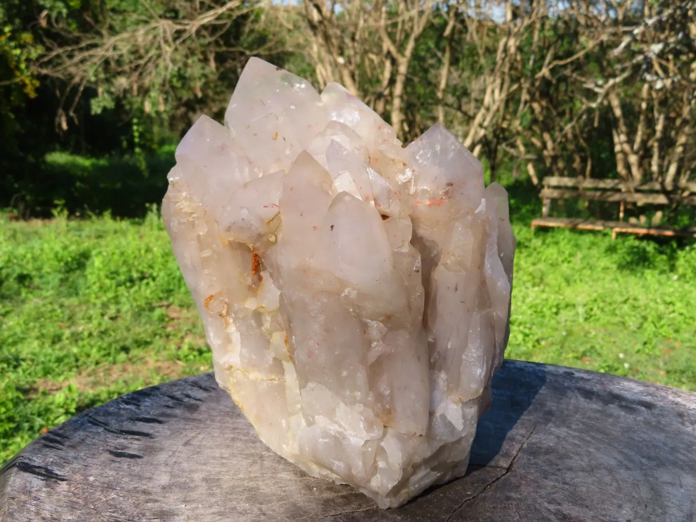 Natural Extra Large Half Polished Multi Terminated Arcadian Crystal Cluster x 1 From Angola