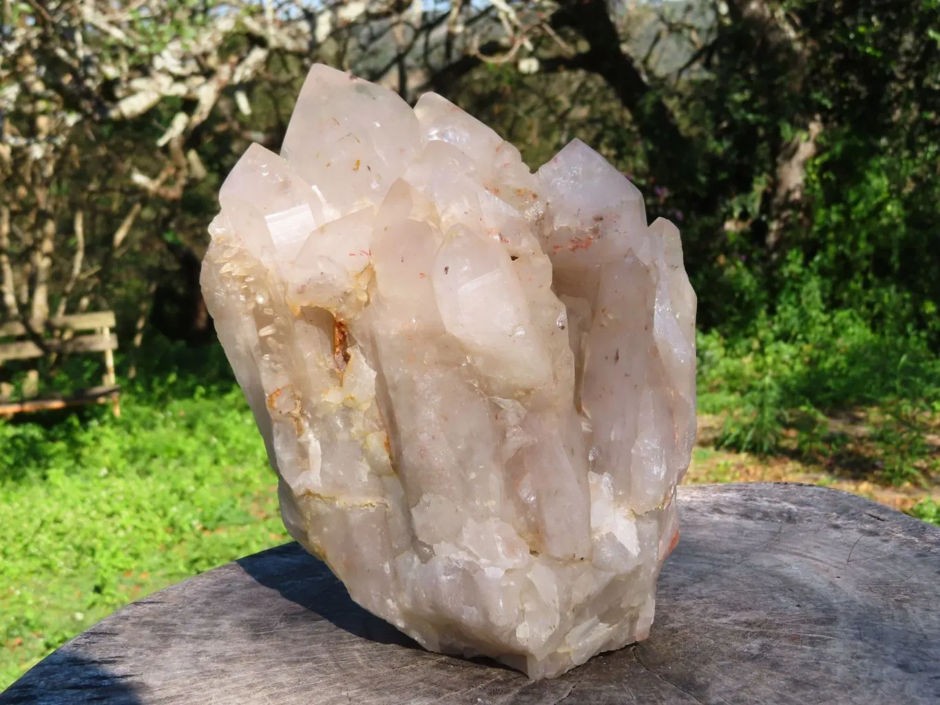 Natural Extra Large Half Polished Multi Terminated Arcadian Crystal Cluster x 1 From Angola