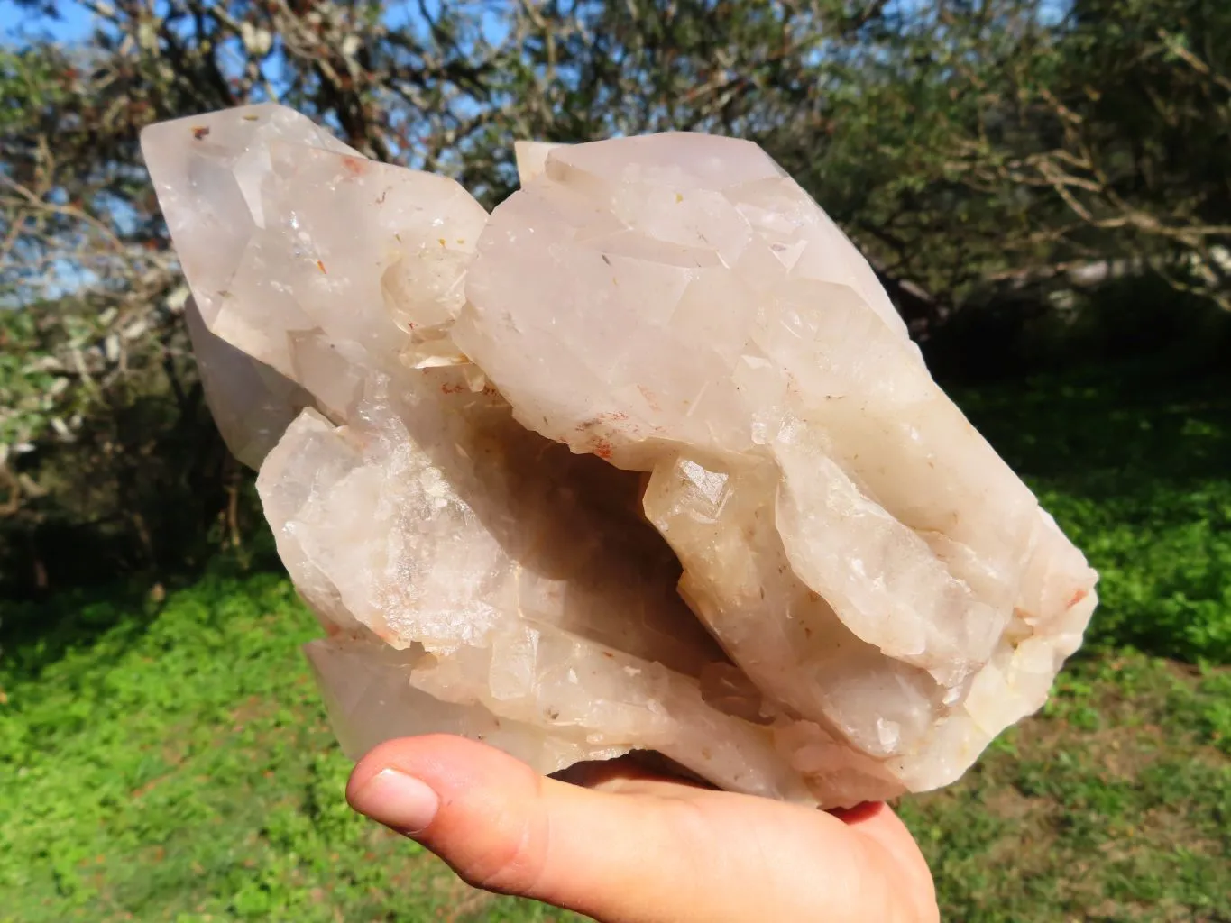 Natural Extra Large Half Polished Multi Terminated Arcadian Crystal Cluster x 1 From Angola